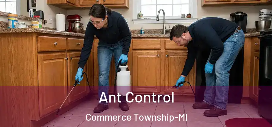  Ant Control Commerce Township-MI