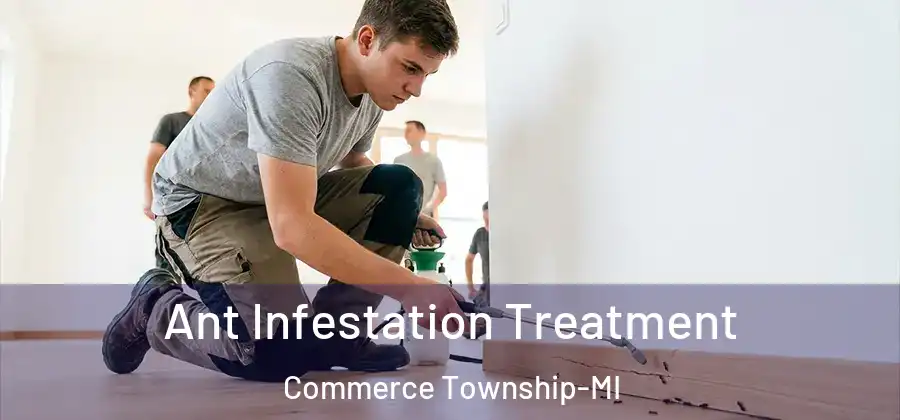 Ant Infestation Treatment Commerce Township-MI