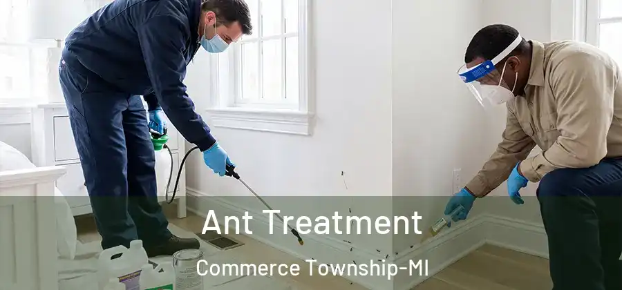  Ant Treatment Commerce Township-MI