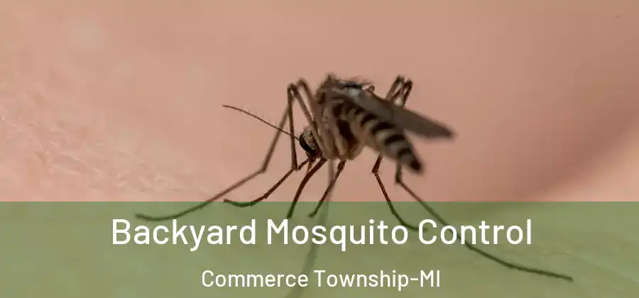  Backyard Mosquito Control Commerce Township-MI