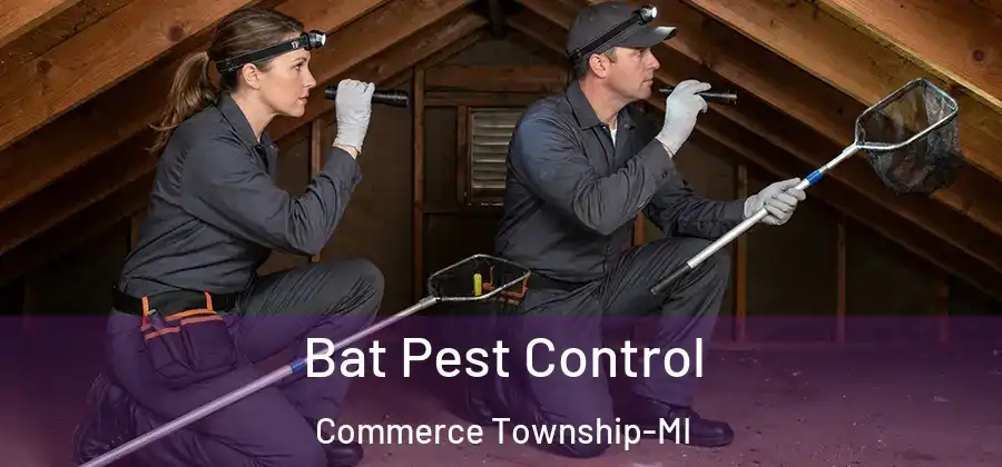  Bat Pest Control Commerce Township-MI