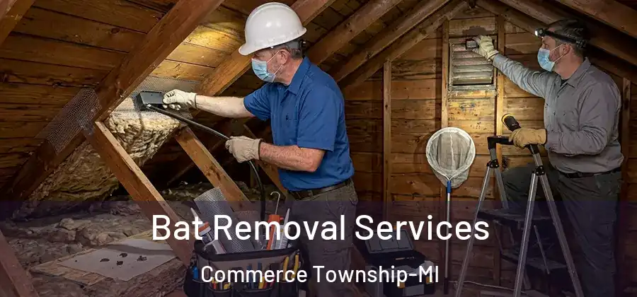 Bat Removal Services Commerce Township-MI
