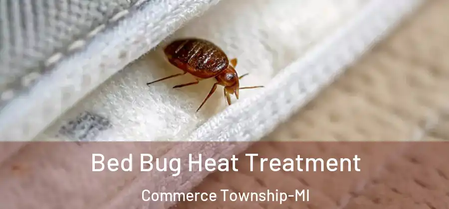Bed Bug Heat Treatment Commerce Township-MI
