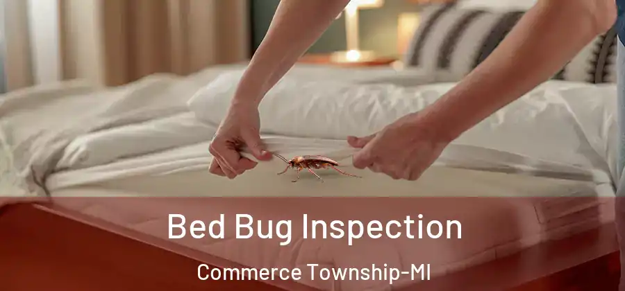 Bed Bug Inspection Commerce Township-MI
