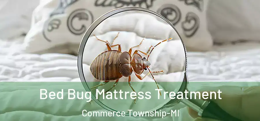 Bed Bug Mattress Treatment Commerce Township-MI