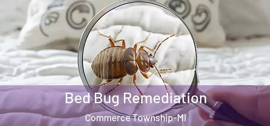Bed Bug Remediation Commerce Township-MI