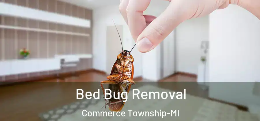  Bed Bug Removal Commerce Township-MI