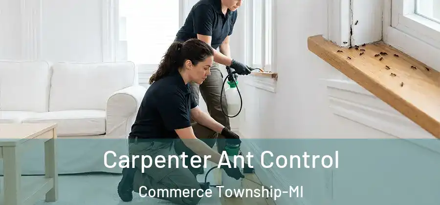 Carpenter Ant Control Commerce Township-MI