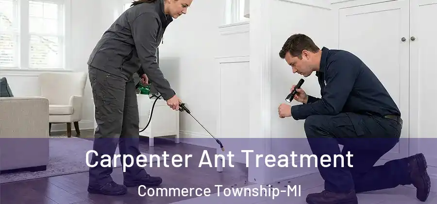 Carpenter Ant Treatment Commerce Township-MI