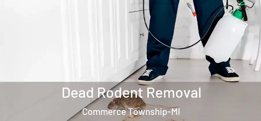 Dead Rodent Removal Commerce Township-MI