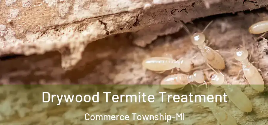 Drywood Termite Treatment Commerce Township-MI