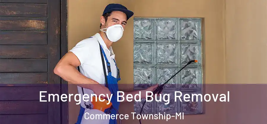  Emergency Bed Bug Removal Commerce Township-MI