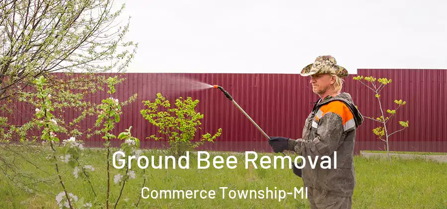 Ground Bee Removal Commerce Township-MI