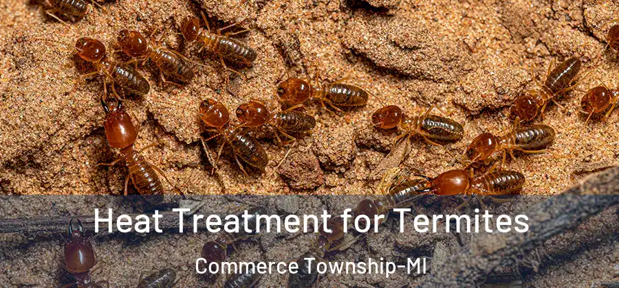Heat Treatment for Termites Commerce Township-MI