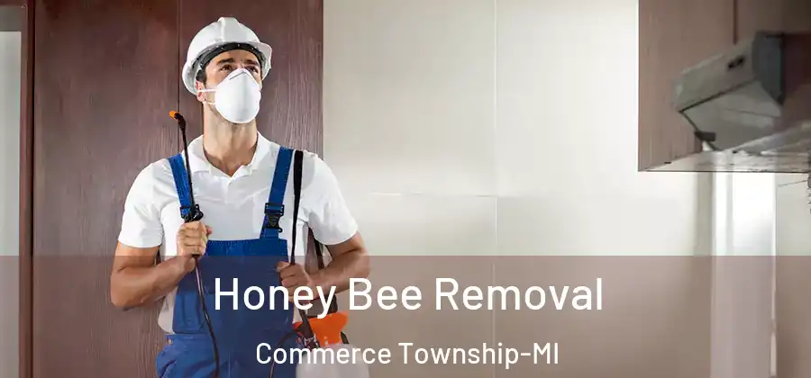  Honey Bee Removal Commerce Township-MI