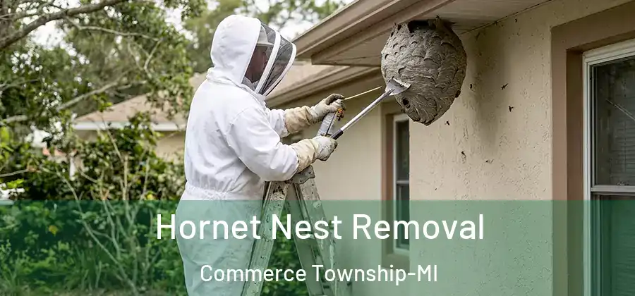 Hornet Nest Removal Commerce Township-MI