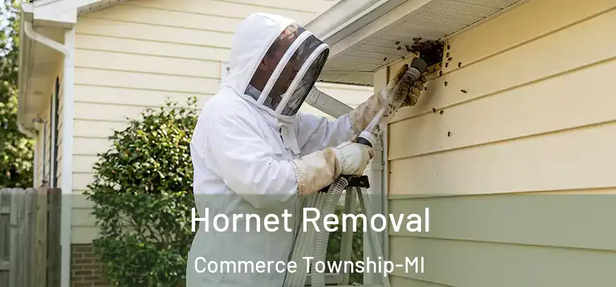  Hornet Removal Commerce Township-MI