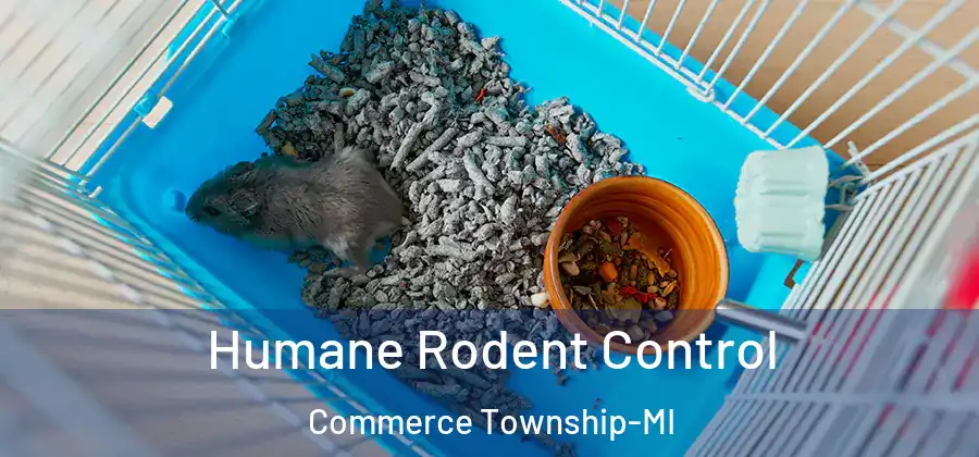  Humane Rodent Control Commerce Township-MI