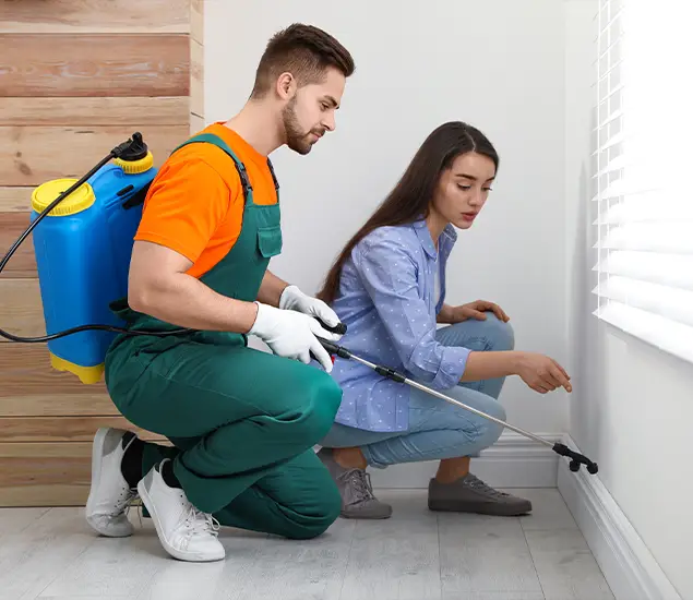 Trusted Affordable Bed Bug Treatment Experts in Commerce Township, MI