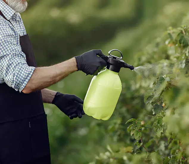 Your Proven Mosquito Treatment Company in Commerce Township, MI