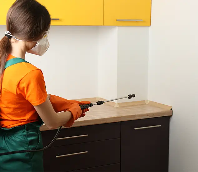 Trusted Bed Bug Pest Control Specialist in Commerce Township, MI