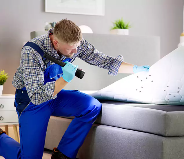 Trusted Bed Bug Remediation Experts in Commerce Township, MI