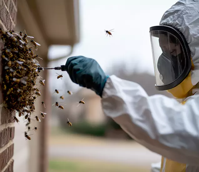 Your Bee Removal Company in Commerce Township, MI