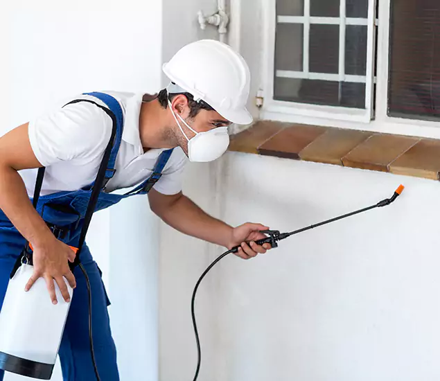 Your Professional Cockroach Exterminator in Commerce Township, MI