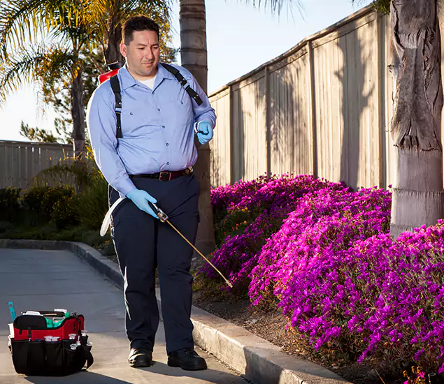 About Our Eco Safe Pest Control Experts in Commerce Township, MI
