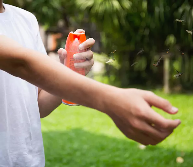 Your Best Indoor Bug Killer Team in Commerce Township, MI