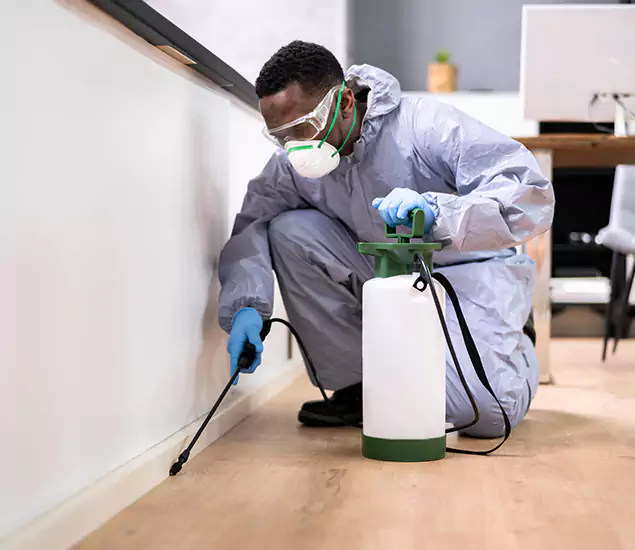 Leading Industrial Pest Control Experts Serving Commerce Township, MI