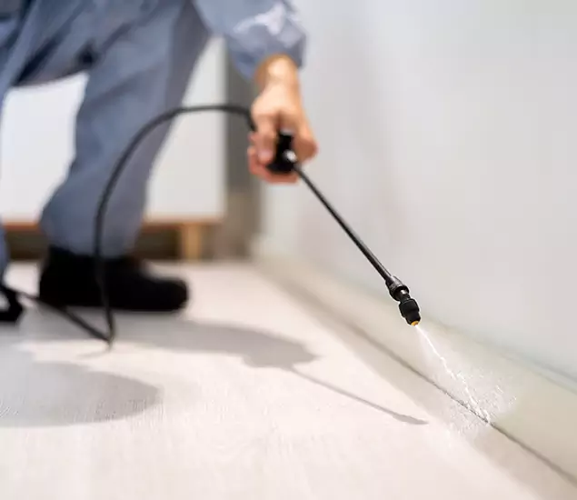 About Our Liquid Termite Treatment Experts in Commerce Township, MI