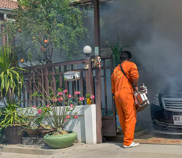Your Proven Mosquito Fogging Company in Commerce Township, MI