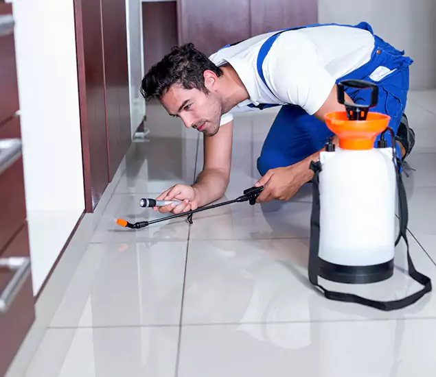 Reliable Professional Mouse Removal: Your Best Mouse Control Company in Commerce Township, MI