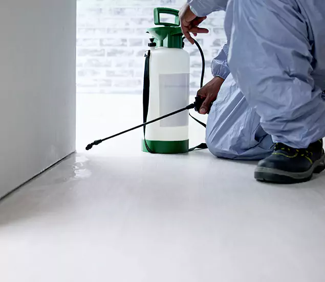 Affordable Pest Control Experts in Commerce Township, MI