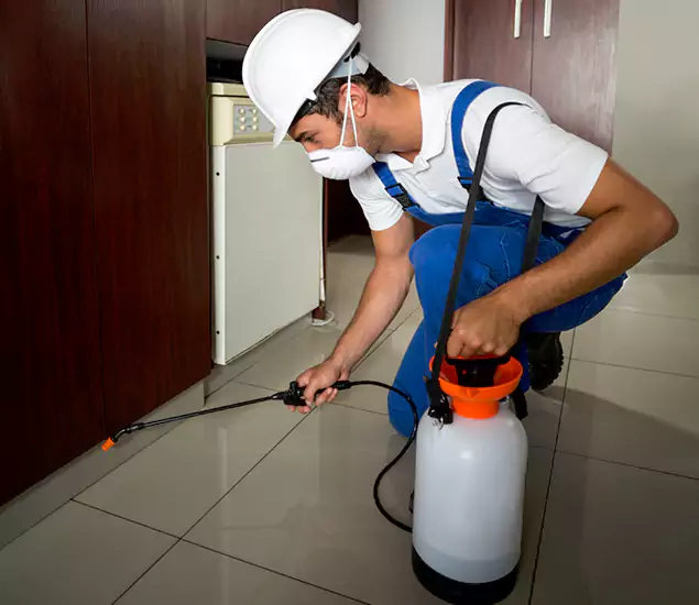 Advanced Termite Pre Treatment Experts in Commerce Township, MI