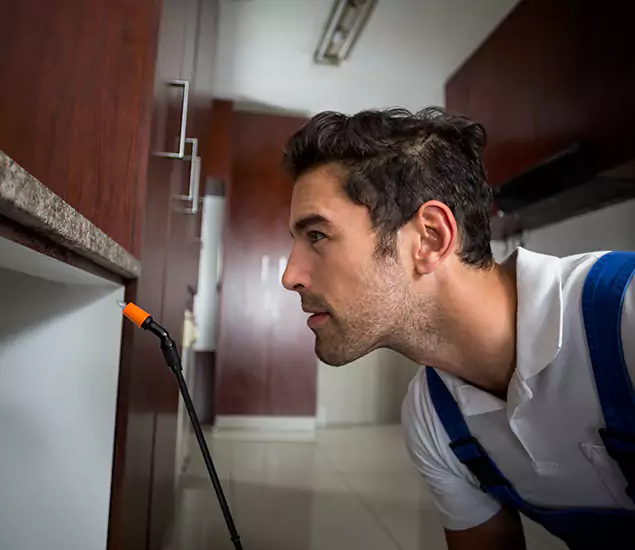 Expert Rodent in Attic Removal: Your Proven Pest Specialists in Commerce Township, MI