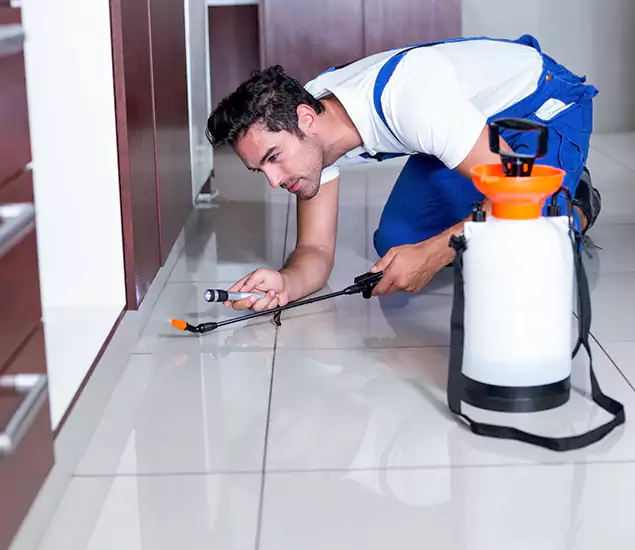 Advanced Slab Termite Treatment Experts You Can Trust&nbsp;in Commerce Township, MI