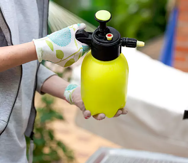 Skilled Residential Small Black Ant Service in Commerce Township, MI