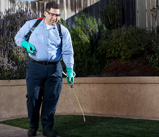 Reliable Termite Barrier Treatment Experts in Commerce Township, MI