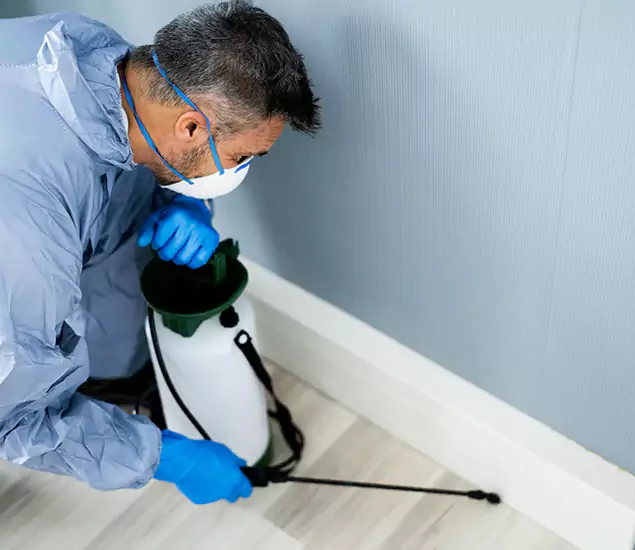Reliable Termite Cost Experts in Commerce Township, MI