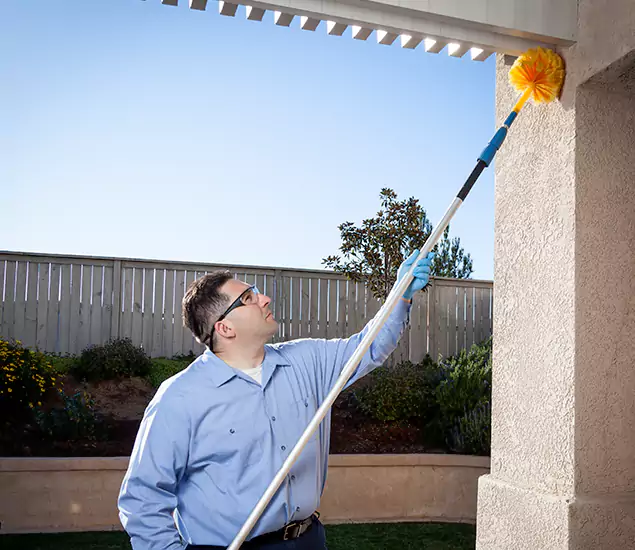 Your Trusted Wasp Removal Company in Commerce Township, MI