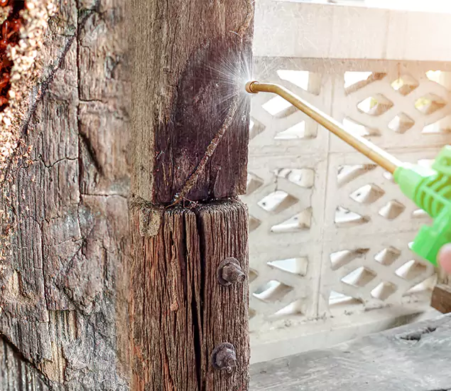 About Wood Termite Treatment Services in Commerce Township, MI