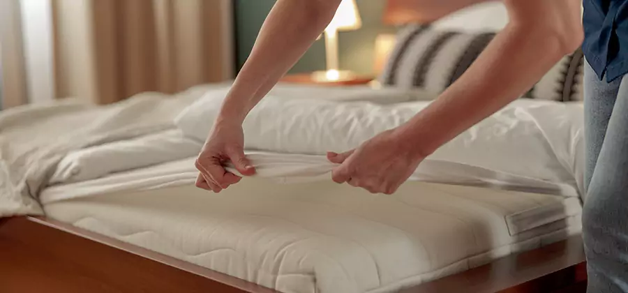 Bed Bug Extermination Services in Commerce Township