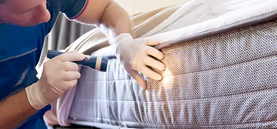 Residential Bed Bug Treatment Cost in Commerce Township