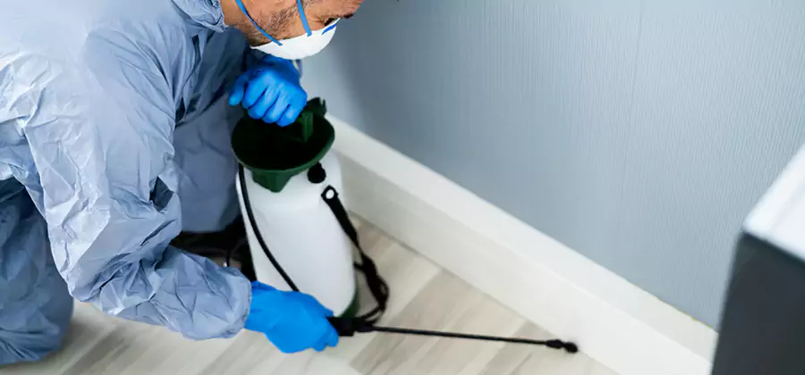 Fumigate Apartment Roaches in Commerce Township