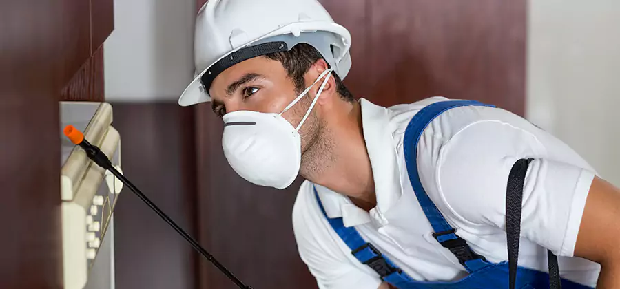 Injection Foam Treatment for Drywood Termites in Commerce Township