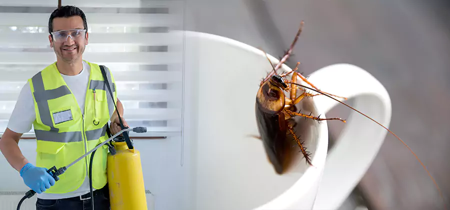 German Roach Infestation Treatment Commerce Township
