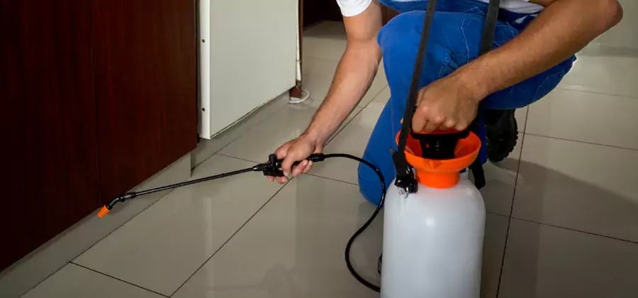 Indoor Mosquito Treatment in Commerce Township