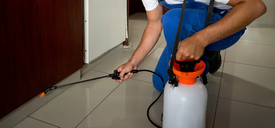 Indoor Insect Killer Solutions in Commerce Township
